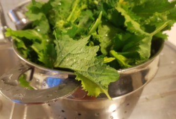 Orecchiette con le cime di rapa preparazione 1