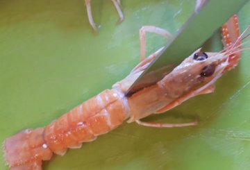 Scampi in padella preparazione 0