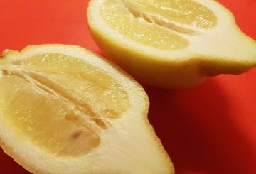 Coppette di limoni con polpo preparazione 2