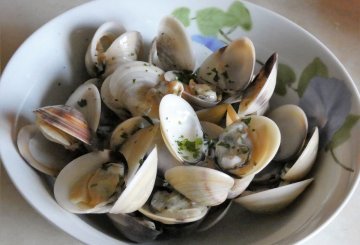 Vongole e cannolicchi in guazzetto preparazione 0