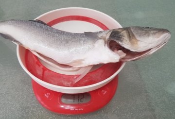 Spigola all'acqua pazza preparazione 0