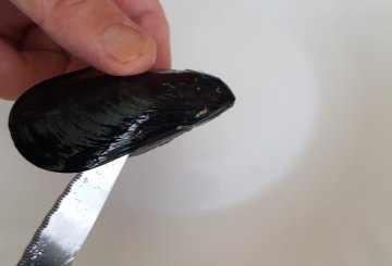 Cozze al Forno preparazione 0