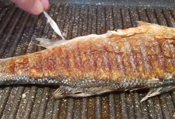 Branzino alla Piastra preparazione 5