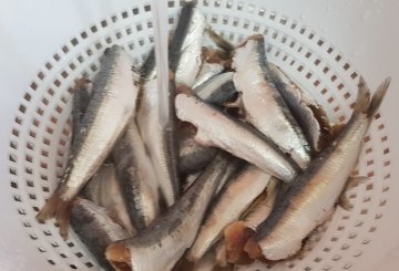 Sardine in padella preparazione 0