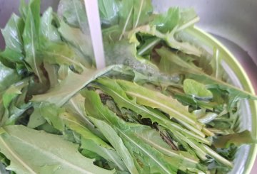 Cicoria in padella preparazione 1