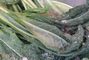 Cavolo Nero in Padella preparazione 0