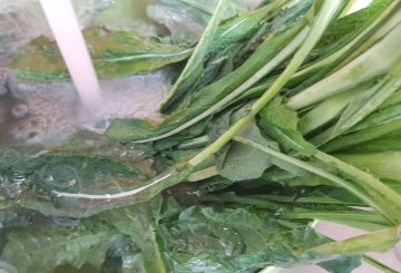 Pasta Con Cavolo Nero preparazione 0