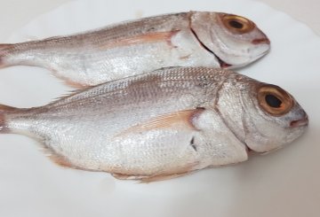 Pezzogna All'Acqua Pazza preparazione 0