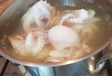 Insalata Di Moscardini E Patate preparazione 2