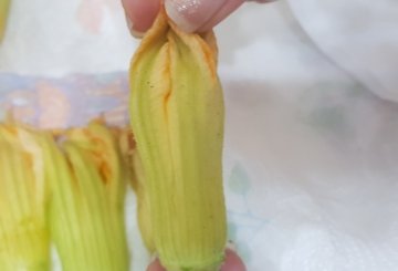 FIORI DI ZUCCA RIPIENI DI FORMAGGIO preparazione 3