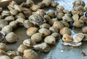 SPAGHETTI ALLE VONGOLE E POMODORINI preparazione 0