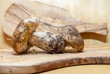 TAGLIATELLE AI FUNGHI PORCINI preparazione 0