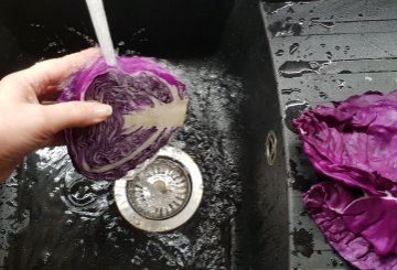 PASTA CON CAVOLO ROSSO preparazione 0