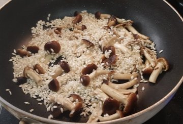 RISOTTO AI PIOPPINI preparazione 3