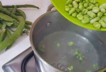 ZUPPA DI FAVE FRESCHE preparazione 0