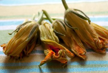 PASTA CON ZUCCHINE E FIORI DI ZUCCA preparazione 7