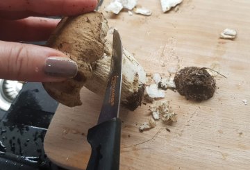 RISOTTO AI FUNGHI PORCINI preparazione 1