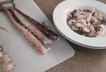 PASTA AL  RAGÚ DI POLPO preparazione 0