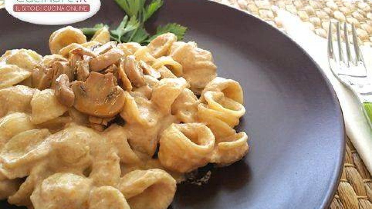 Orecchiette con crema di funghi