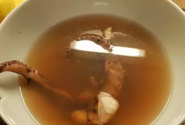 BRODO DI POLPO