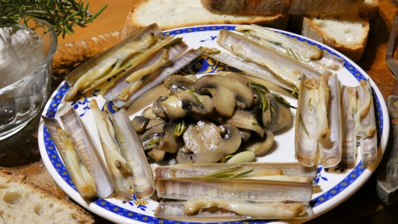 Funghi e cannolicchi