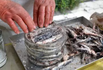 ALICI SOTTO SALE