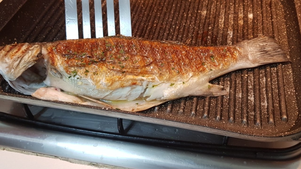 Branzino alla Piastra