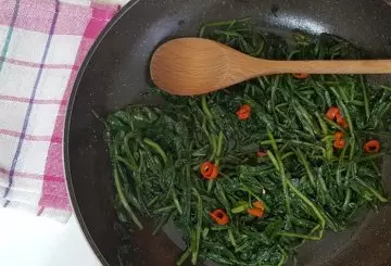 CICORIA IN PADELLA