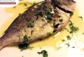 ORATE IN PADELLA