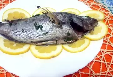 SARAGO AL FORNO