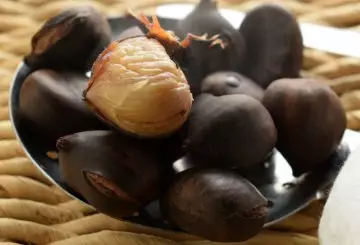 CASTAGNE LESSE BIMBY
