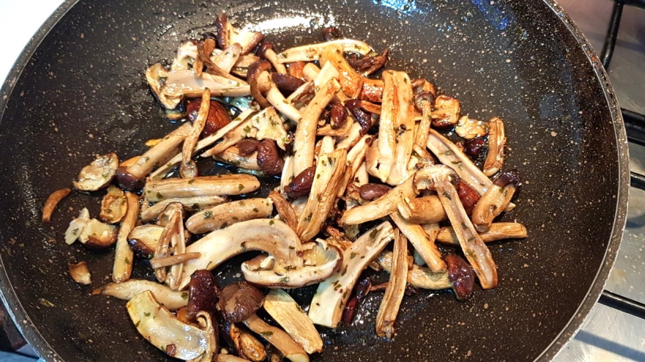 FUNGHI PIOPPINI TRIFOLATI