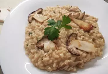 RISOTTO AI FUNGHI PORCINI