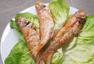 TRIGLIE FRITTE IN FRIGGITRICE AD ARIA
