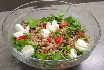 INSALATA DI FARRO ESTIVA