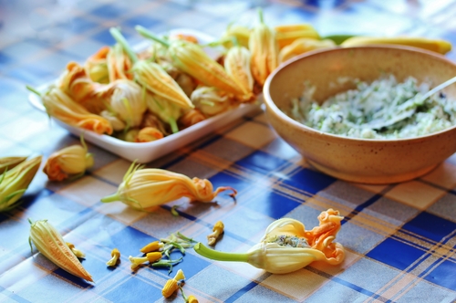 Fiori di zucca, i fiori commestibili più famosi al mondo