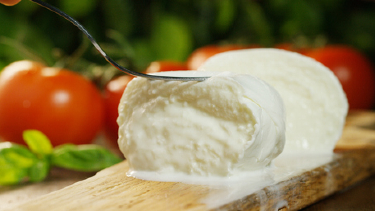 Mozzarella, simbolo italiano nel mondo