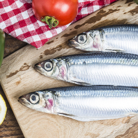 LE SARDINE, IL PESCE ECONOMICO RICCO DI PROPRIETÀ