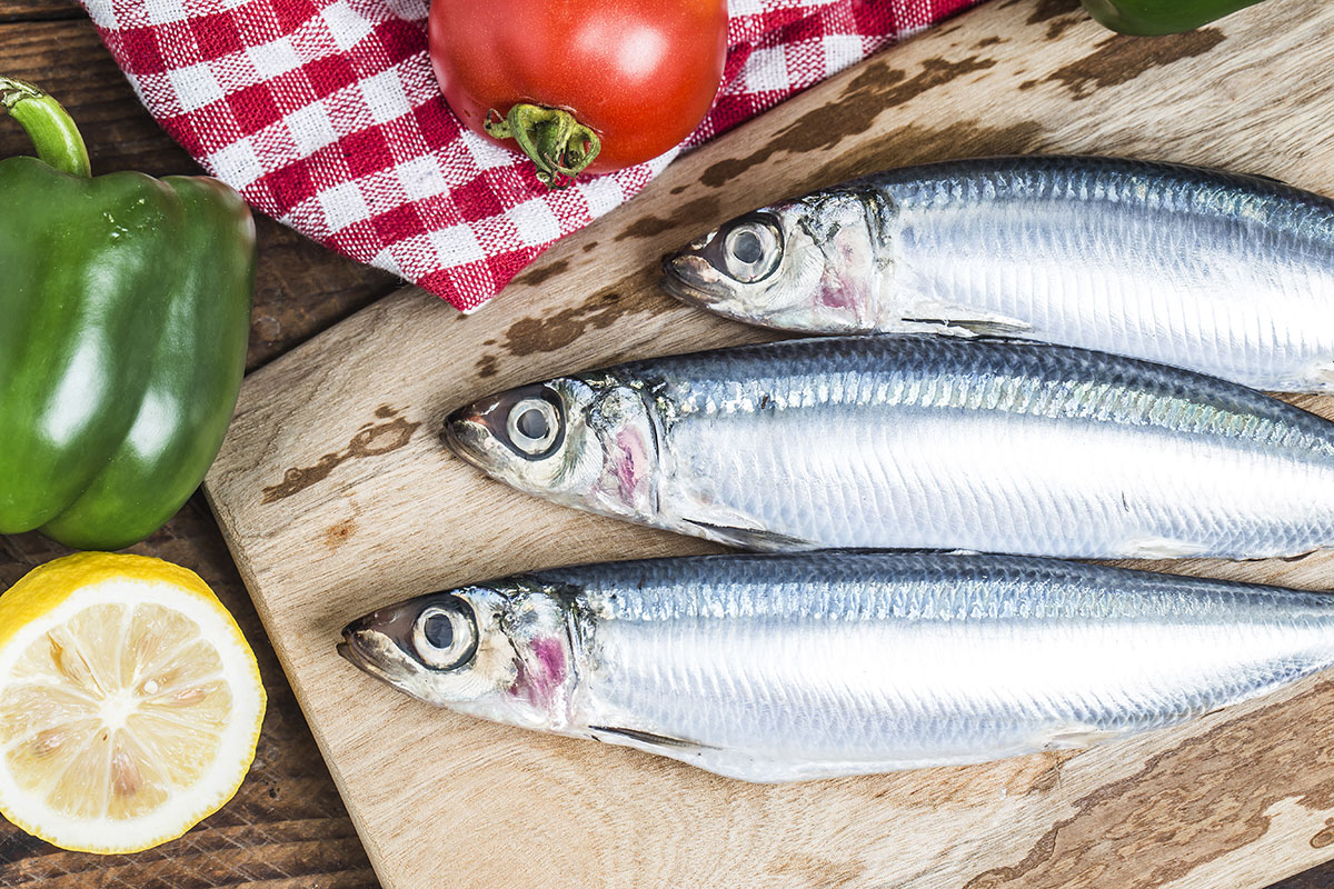 Le sardine, il pesce economico ricco di proprietà