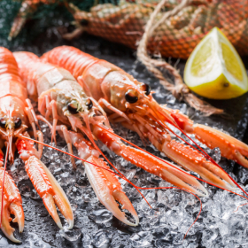 SCAMPI, CROSTACEI TUTTI DA GUSTARE: PROPRIETÀ E RICETTE