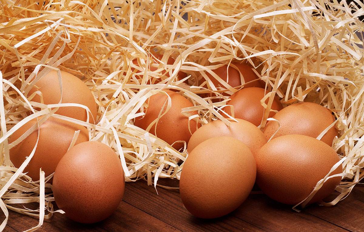 Uova: proprietà, varietà e come riconoscerle