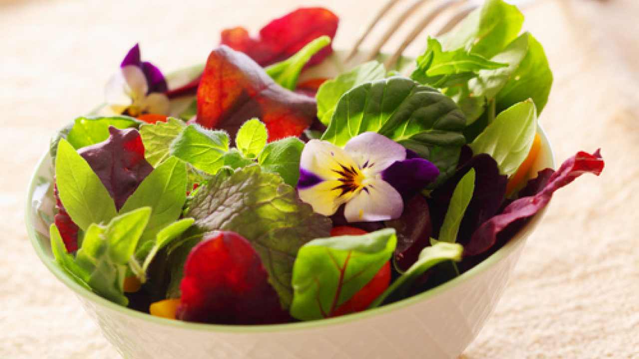 Fiori commestibili, i più buoni per deliziose ricette