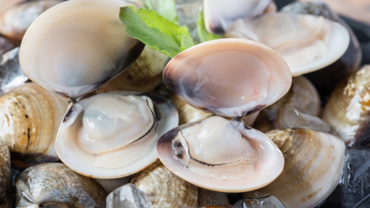 Come spurgare le vongole, i segreti