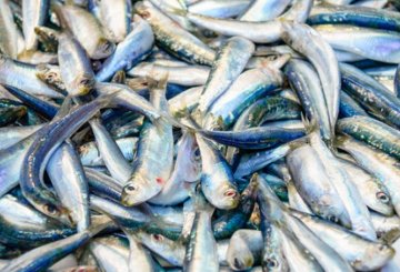 Cosa si mangia venerdì santo