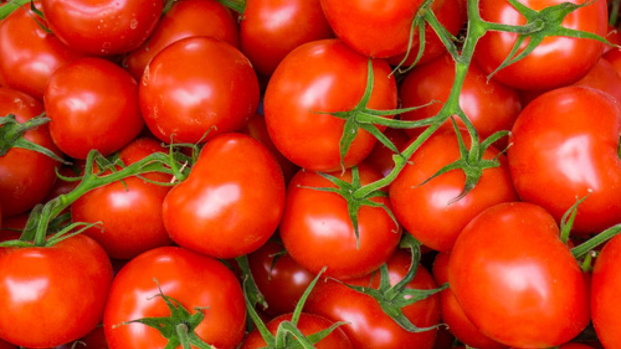 Pomodori, cinque motivi per cui mangiarli fa bene