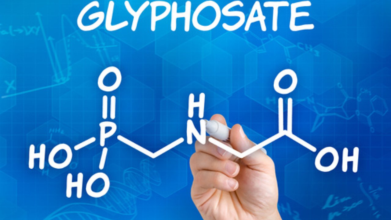 Allarme glifosato: tutti gli alimenti che lo contengono