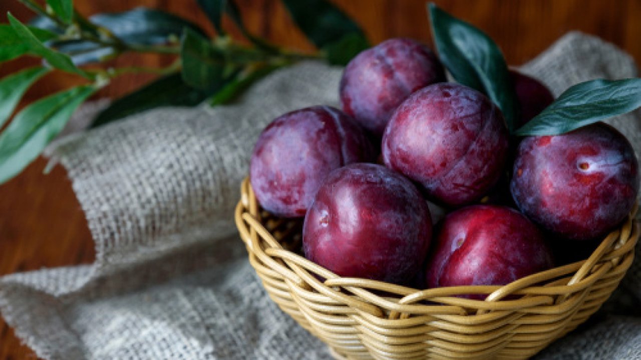 Le prugne o susine, il dolce sapore della frutta