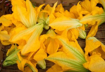 Come pulire i fiori di zucca