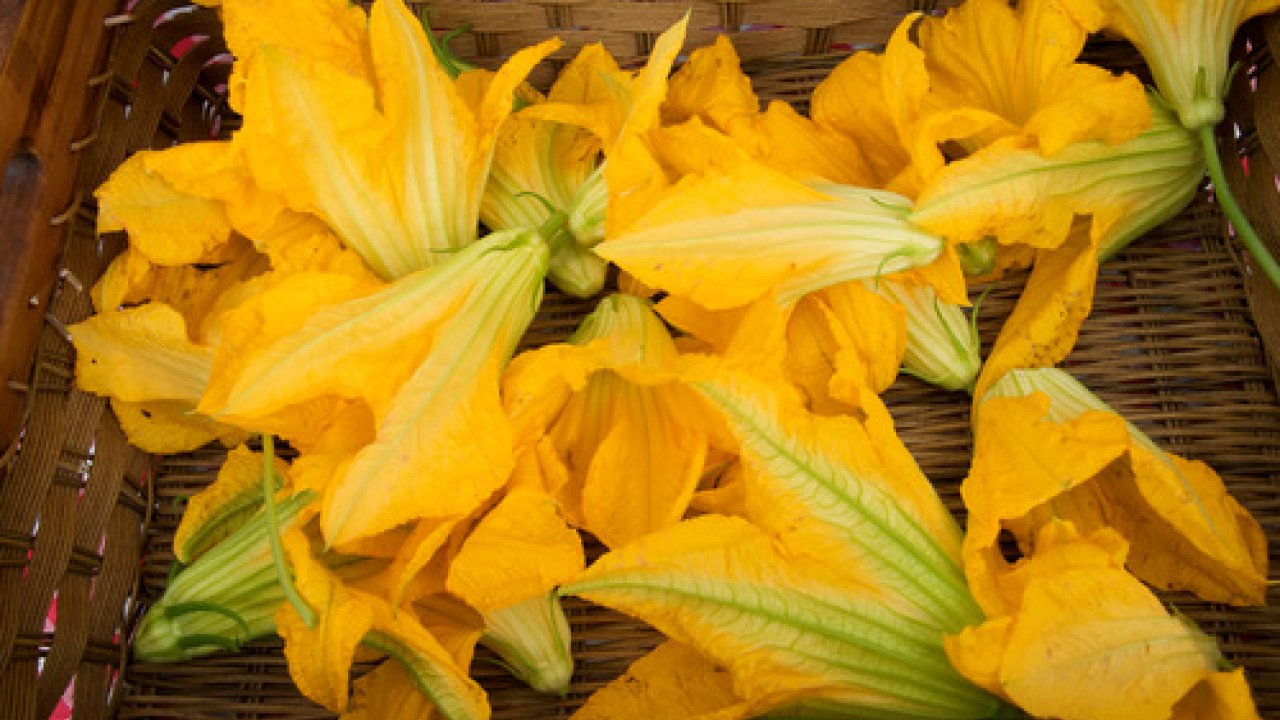 Come pulire i fiori di zucca