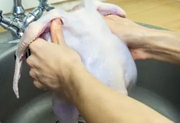 Pulire gallina intera